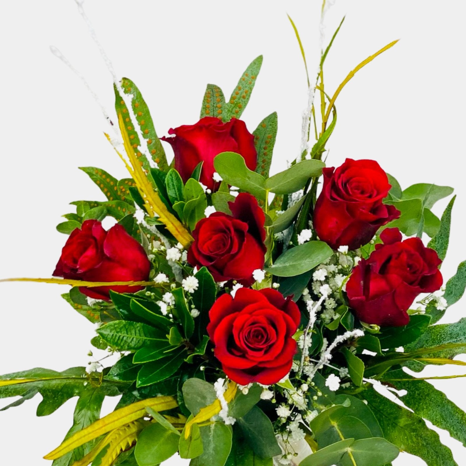 Guns & Roses - Persa Flores