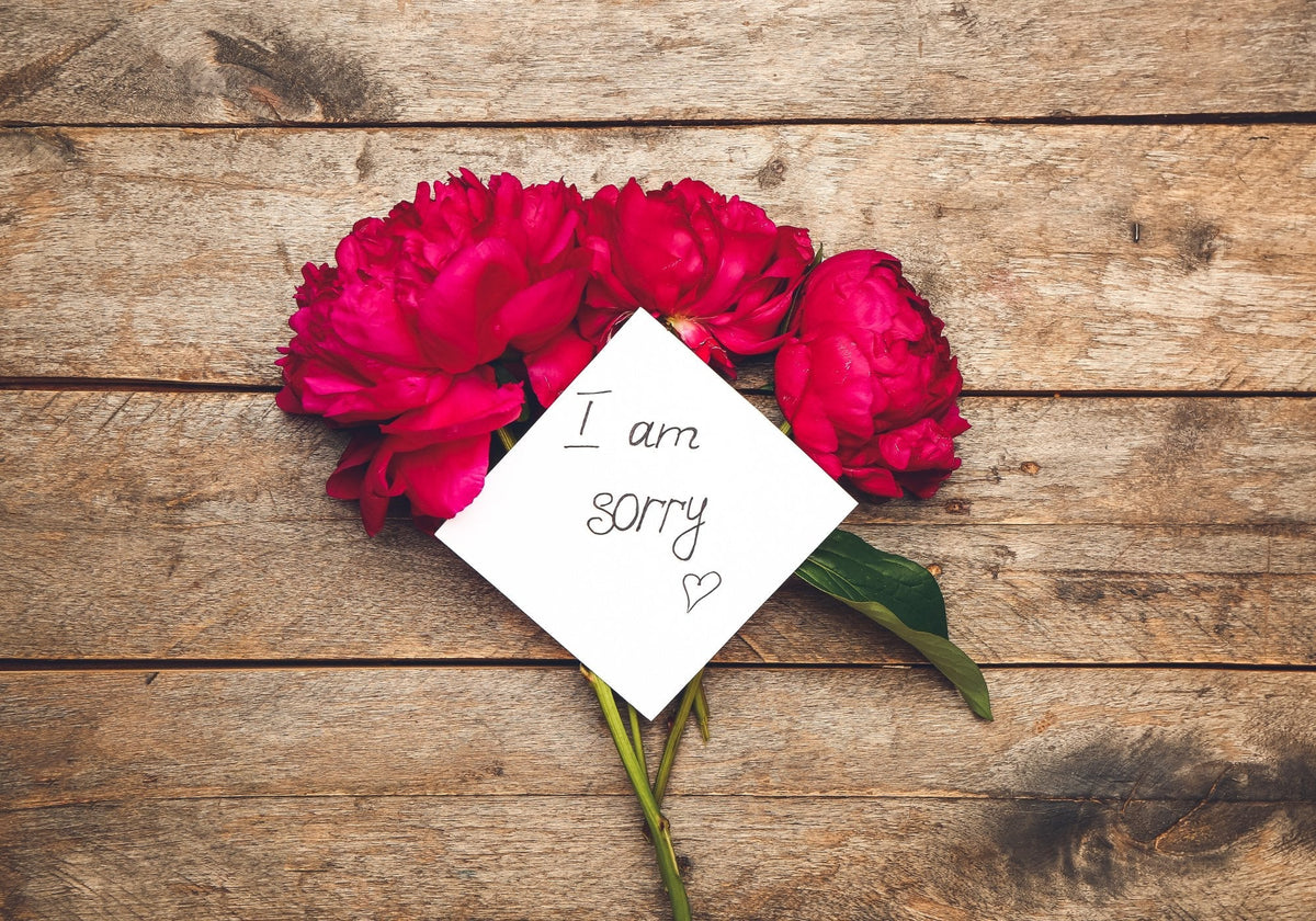 100 Phrases of Regret to Ask Forgiveness Sincerely