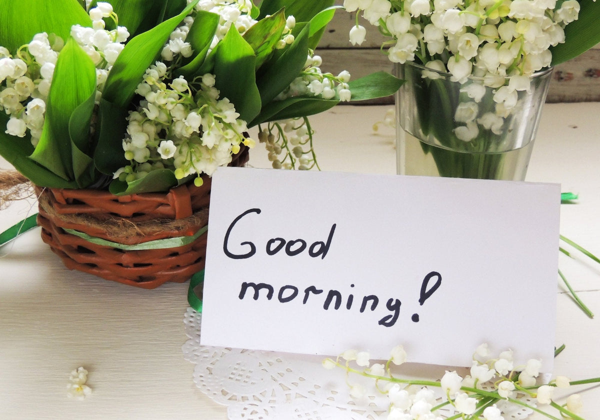 100 Good Morning Messages for Someone Special