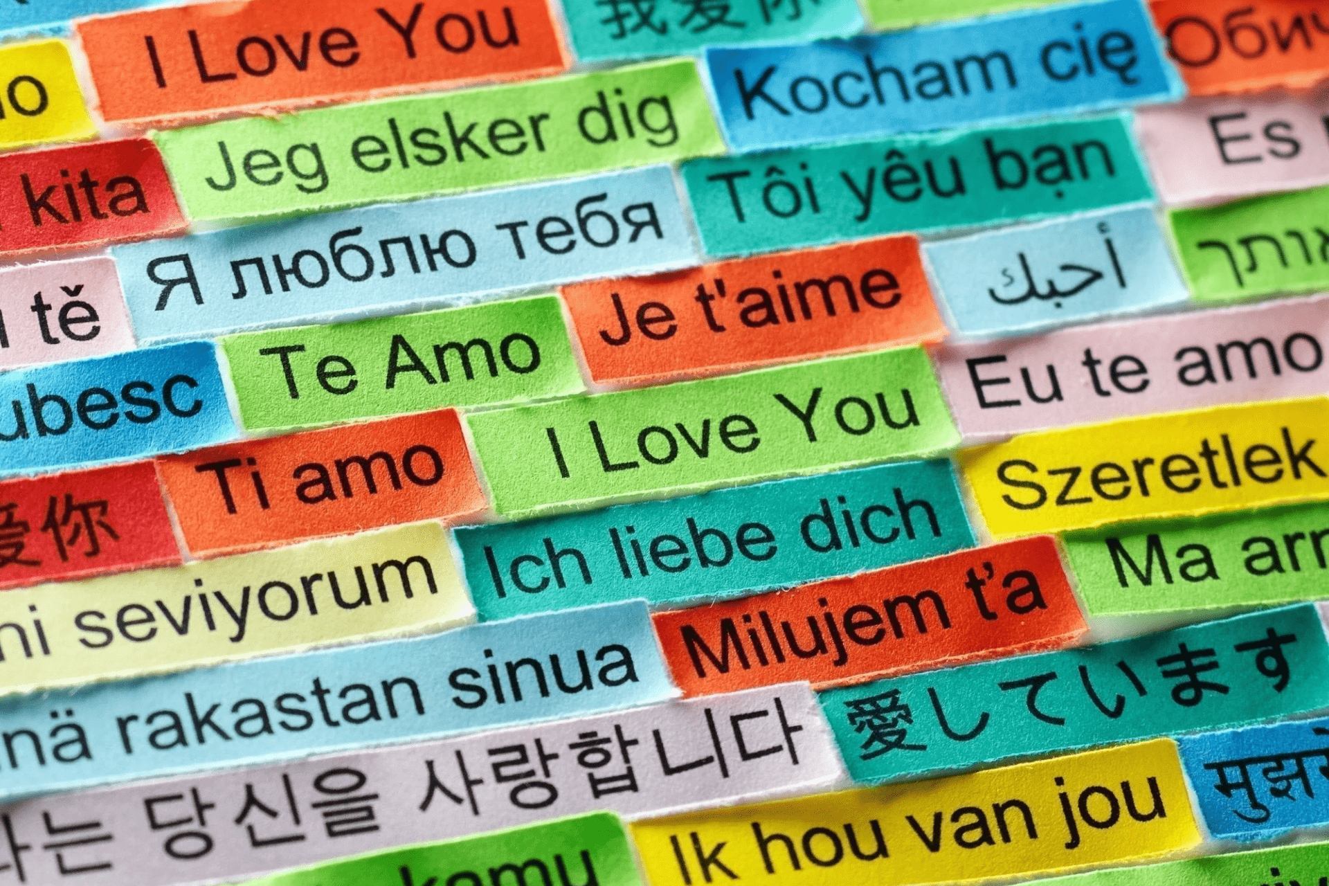 Dile ‘Te Amo’ en 100 Idiomas - Persa Flores