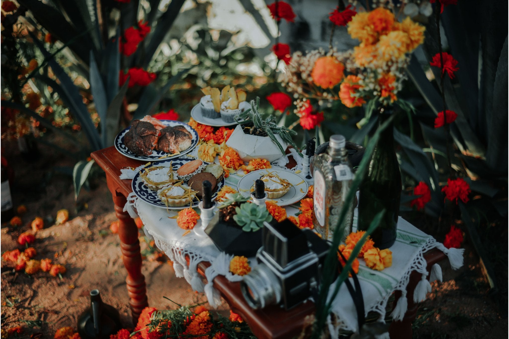 Las mejores flores para Halloween - Persa Flores