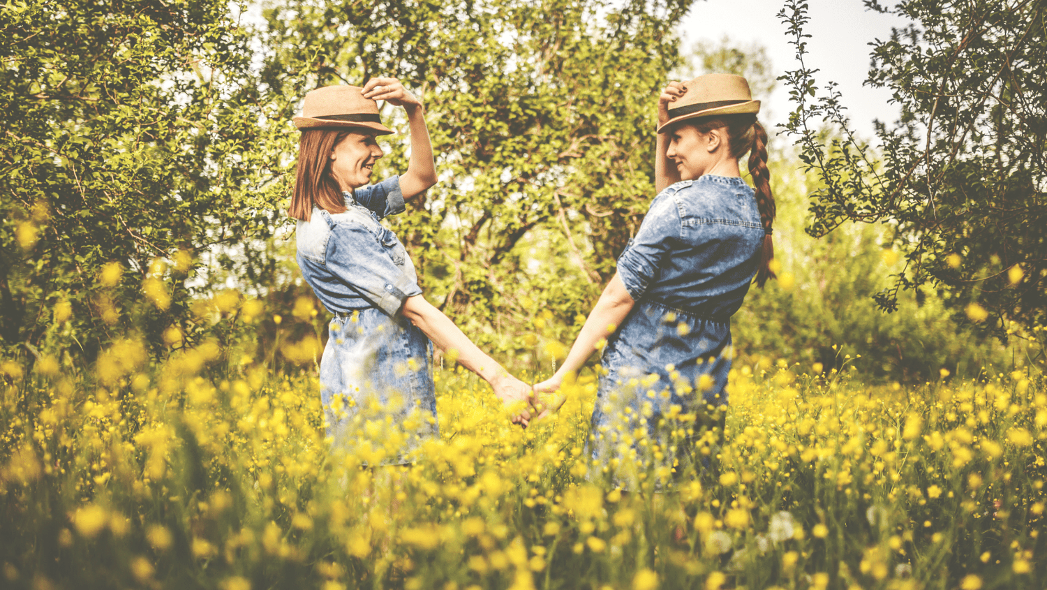 Flores que simbolizan amistad: el regalo perfecto - Persa Flores