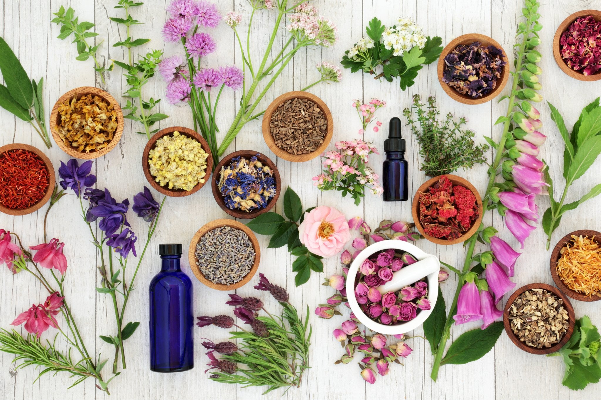 La Flores y su Papel en la Medicina Herbal - Persa Flores