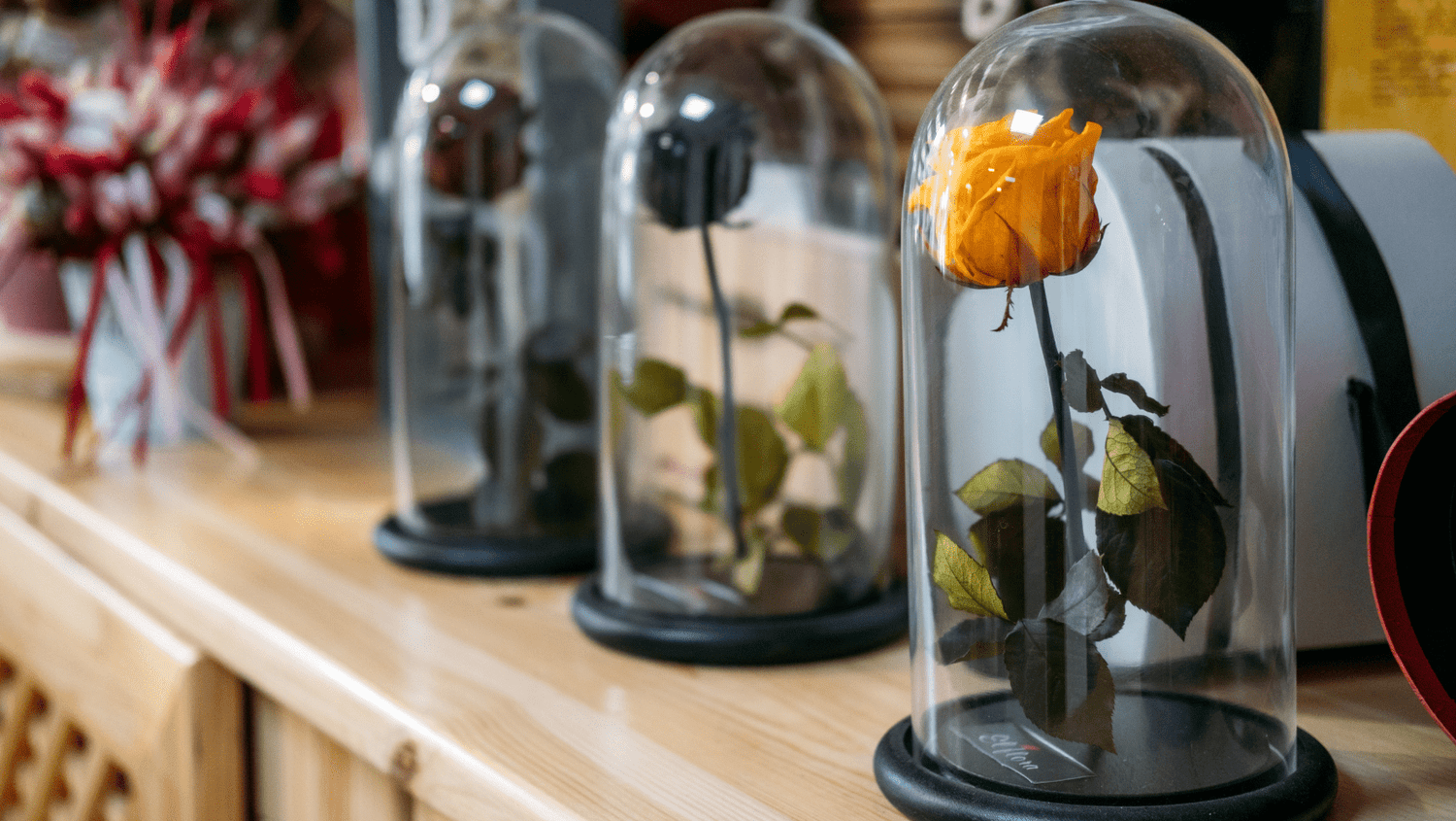 Guía para elegir la cúpula de flores preservadas perfecta - Persa Flores