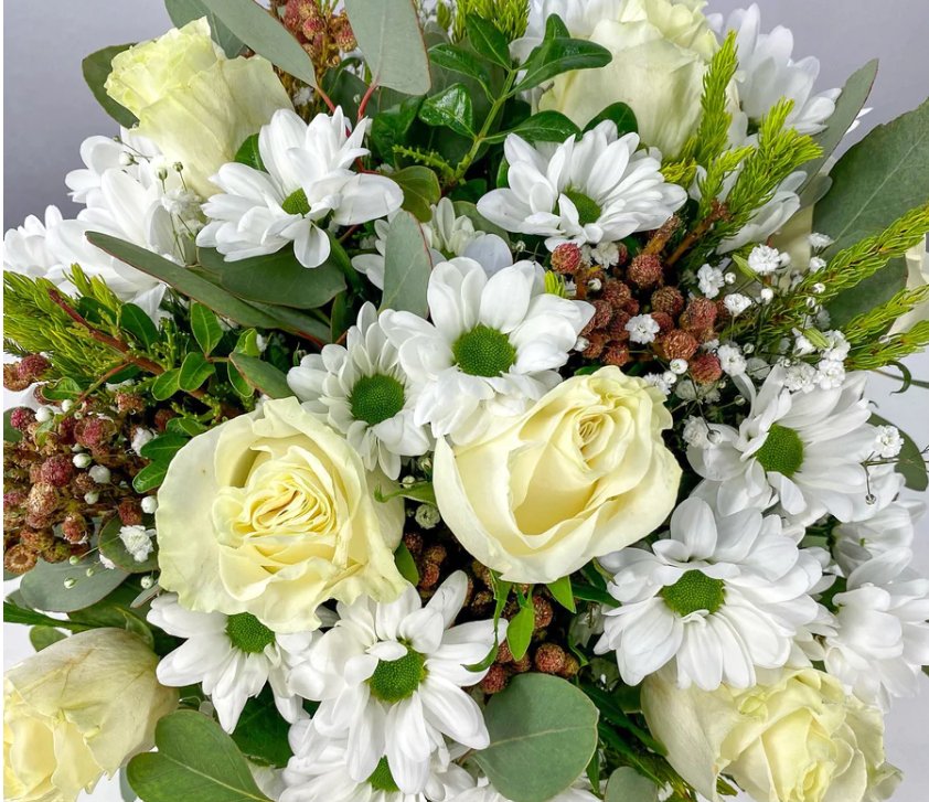 Ramos de margaritas para cumpleaños - Persa Flores
