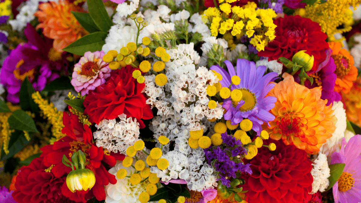 Why Choose a Mixed Flower Bouquet as a Gift?