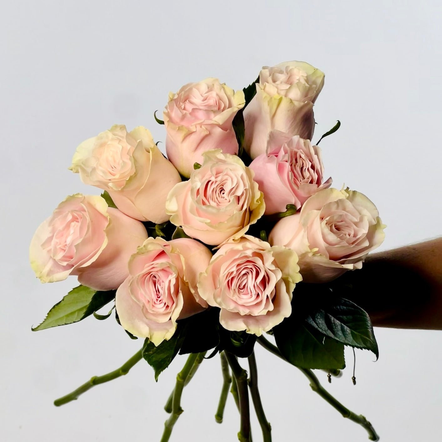 Qué flores regalar el Día de la Madre según su estilo - Persa Flores