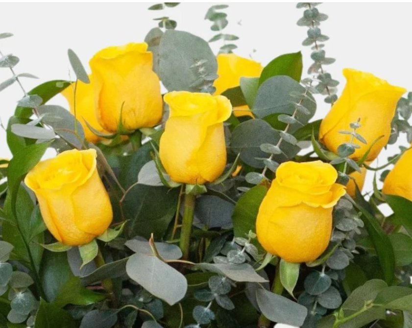 ¿Qué Flores Regalar en San Valentín? Las Mejores 6 Opciones - Persa Flores