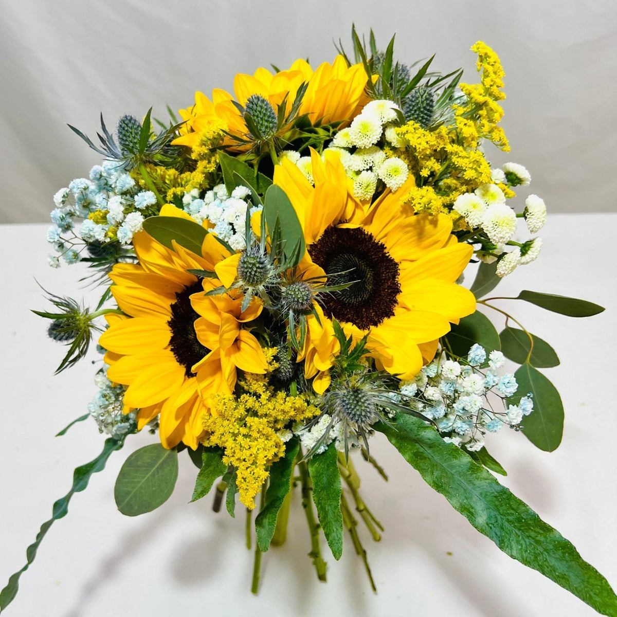 Sunflower Meaning: Joy, Loyalty and When to Gift