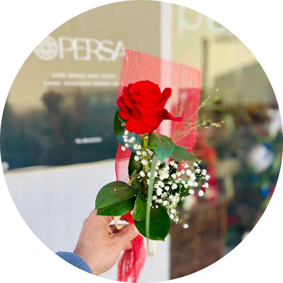Enviar una rosa a domicilio - Persa Flores