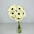Gerbera Blanca - Persa Flores