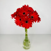 Gerbera Roja - Persa Flores
