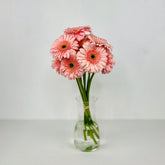 Gerbera Rosa - Persa Flores