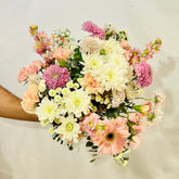 Encanto de Verano - Persa Flores