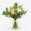 Light Winter - Persa Flores