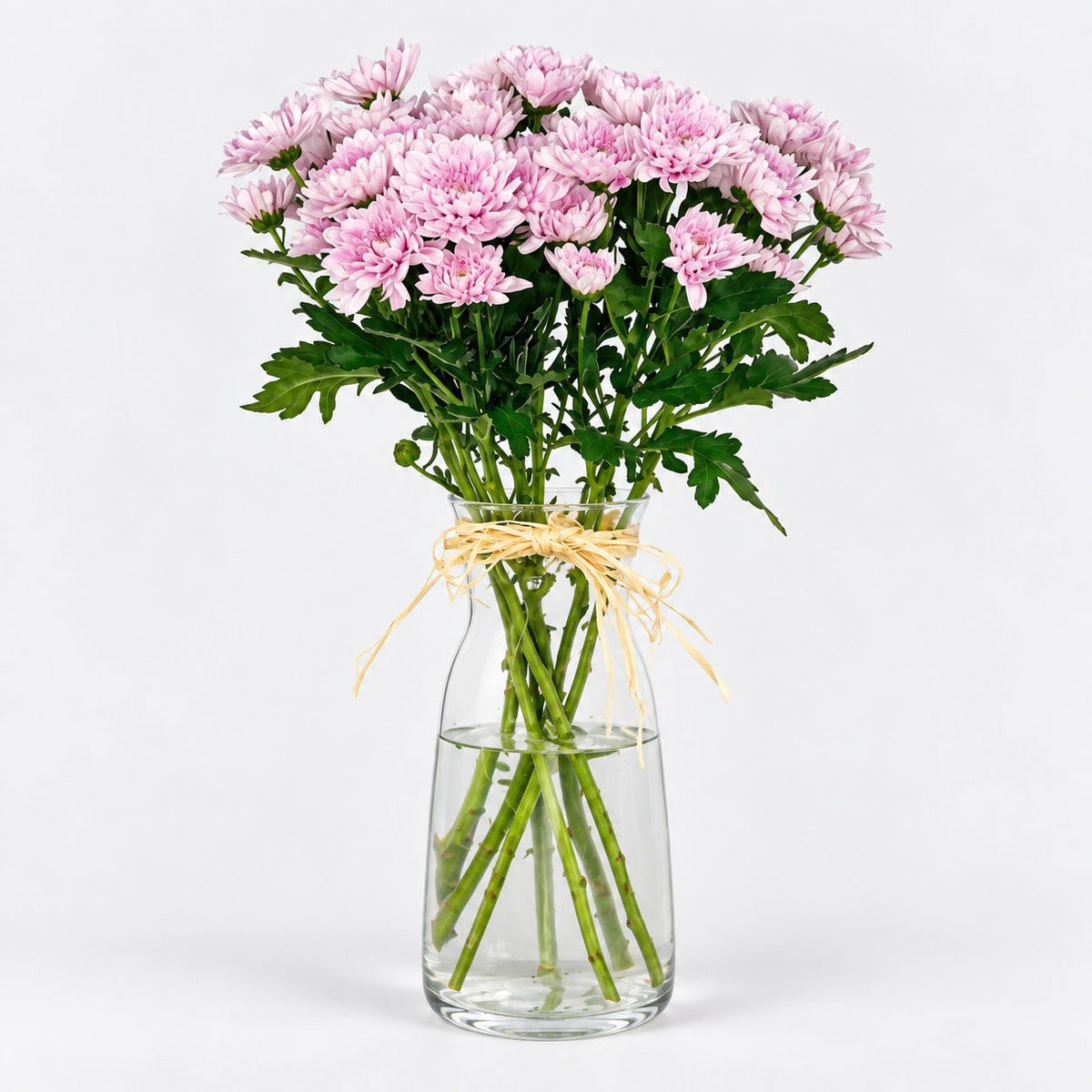 Pink Daisies