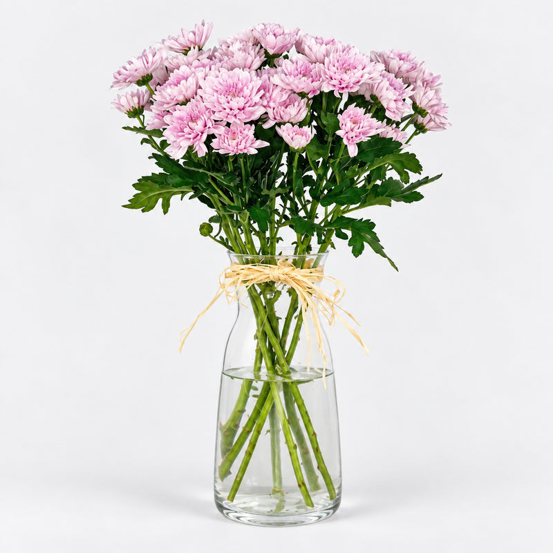 Ramo de margaritas rosas con follaje verde y lazo de rafia en jarrón de cristal Sakura.