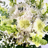 Mojácar | Ramo de Margaritas, Crisantemo y Antirrhinum Blanco - Persa Flores