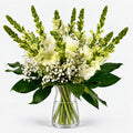 Mojácar | Ramo de Margaritas, Crisantemo y Antirrhinum Blanco - Persa Flores