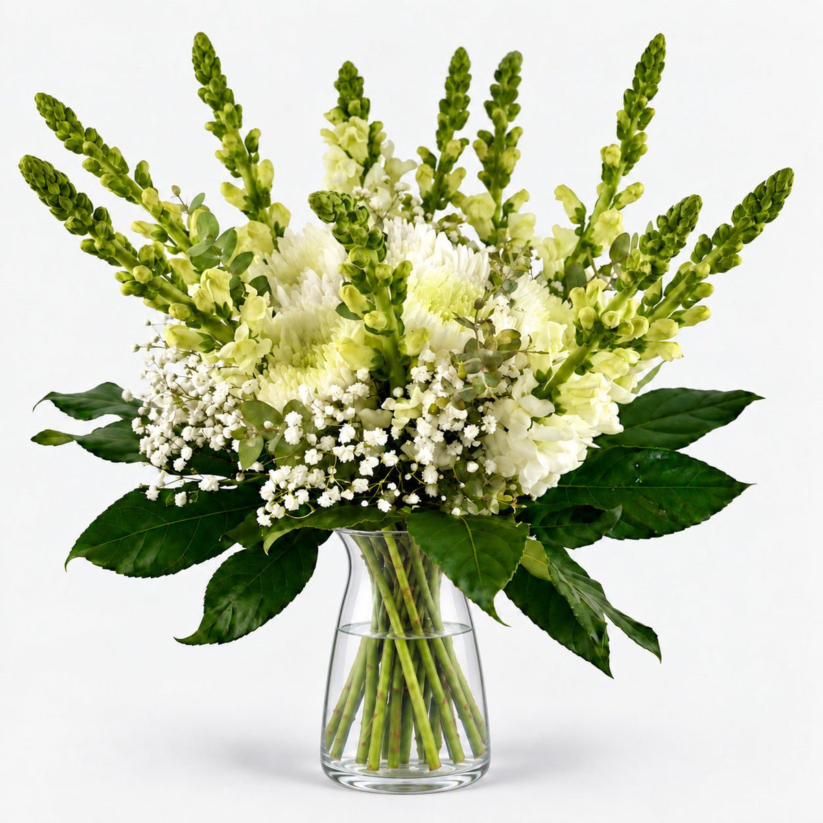 Mojacar | Bouquet of Daisies, Chrysanthemum and White Antirrhinum