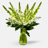 Mojácar | Ramo de Margaritas, Crisantemo y Antirrhinum Blanco - Persa Flores