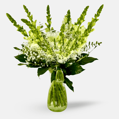 Mojácar | Ramo de Margaritas, Crisantemo y Antirrhinum Blanco - Persa Flores