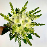 Mojácar | Ramo de Margaritas, Crisantemo y Antirrhinum Blanco - Persa Flores