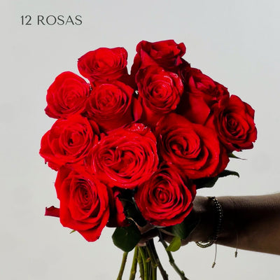 Rosas Rojas Premium - Persa Flores