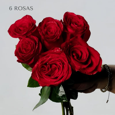 Rosas Rojas Premium - Persa Flores