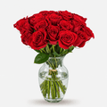 Rosas Rojas Premium - Persa Flores