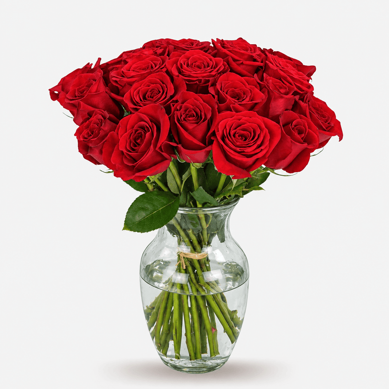 Rosas Rojas Premium - Persa Flores