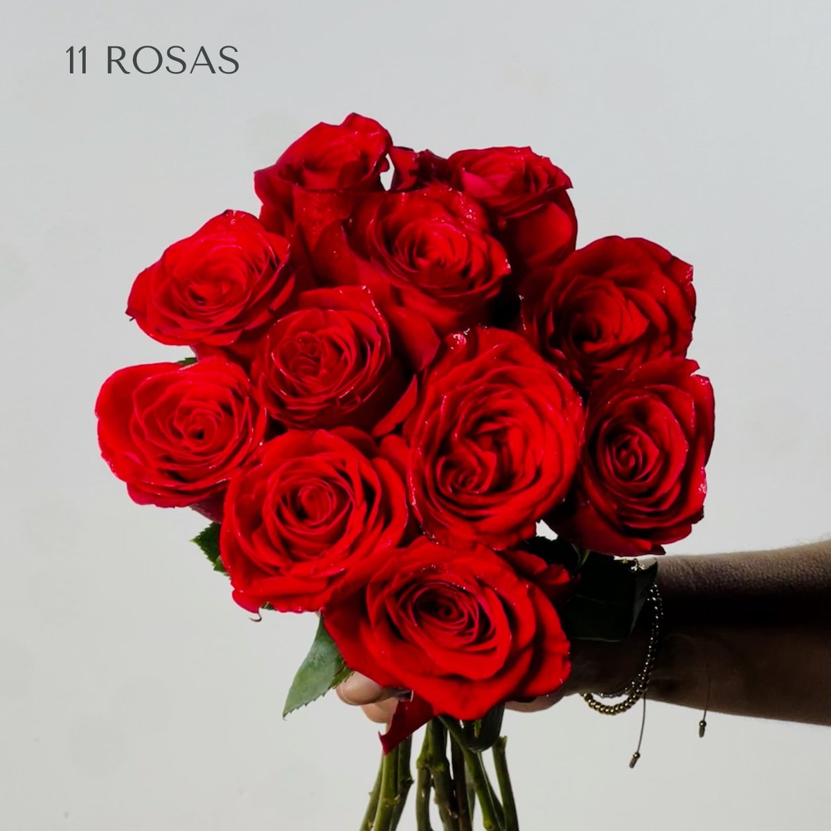 Rosas Rojas Premium - Persa Flores