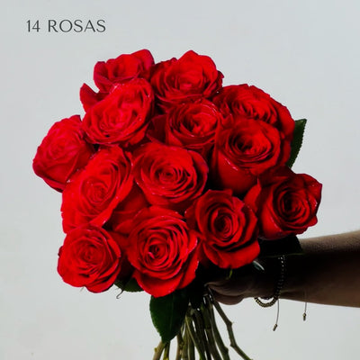 Rosas Rojas Premium - Persa Flores