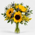 Sueño de Girasoles - Persa Flores