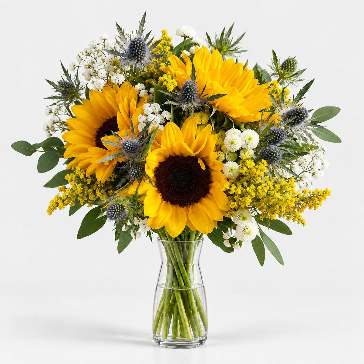 Dream of Sunflowers