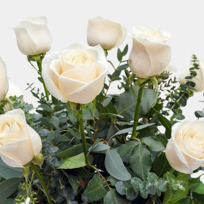 12 Rosas Blancas - Persa Flores