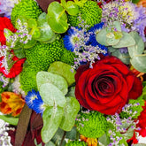 Amapola - Persa Flores