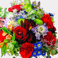 Amapola - Persa Flores