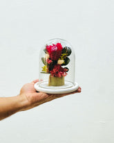 Cúpula Rosa Roja Preservada - Persa Flores