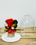 Cúpula Rosa Roja Petit — ramo con rosas, rosas rojas | Persa Flores
