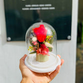 Cúpula Rosa Roja Preservada - Persa Flores