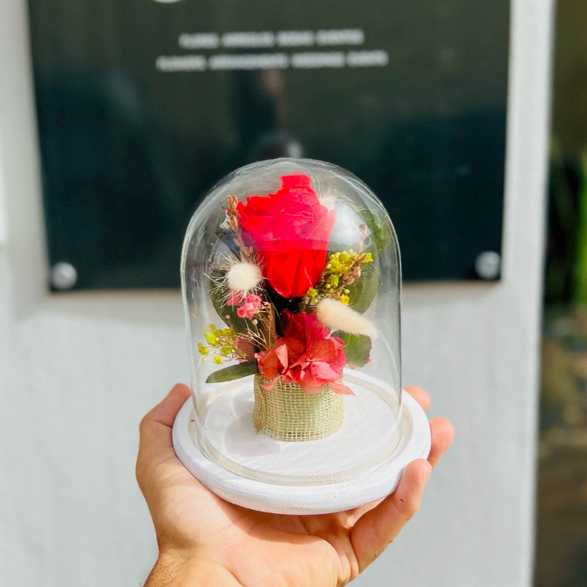 Petit Red Rose Dome