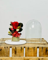 Cúpula Rosa Roja Preservada - Persa Flores