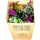 La Susi - Persa Flores