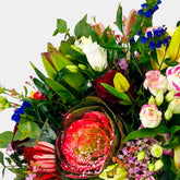 Mariposa - Persa Flores