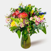 Mariposa - Persa Flores