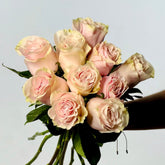 Ramo de Rosas Rosa Premium - Persa Flores