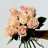 Ramo de Rosas Rosa Premium - Persa Flores