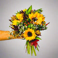 Sweet Dreams - Persa Flores