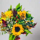 Sweet Dreams - Persa Flores